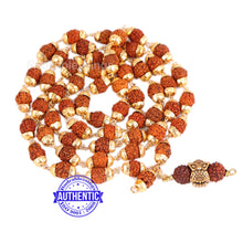 Load image into Gallery viewer, 5 Mukhi Rudraksha Mala in gold plated caps with Owl Pendant
