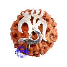 Load image into Gallery viewer, 7 Mukhi Indonesian Rudraksha Ring - 1