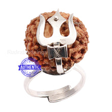 Load image into Gallery viewer, 10 Mukhi Indonesian Rudraksha Ring - 2