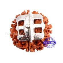 Load image into Gallery viewer, 7 Mukhi Nepalese Rudraksha Ring - 2