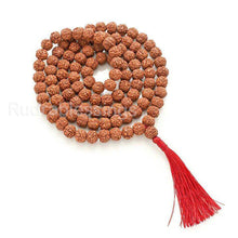 Load image into Gallery viewer, 6 Mukhi Rudraksha Mala - (108+1 beads - Indonesian)