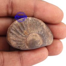 Load image into Gallery viewer, Sudarshan Shaligram - 103