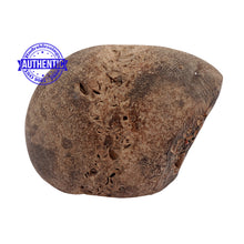 Load image into Gallery viewer, Shaligram - 157