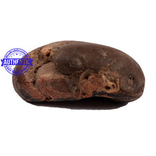 Load image into Gallery viewer, Shaligram - 158