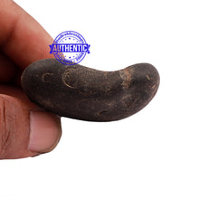 Load image into Gallery viewer, Shaligram - 163