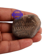 Load image into Gallery viewer, Shaligram - 168