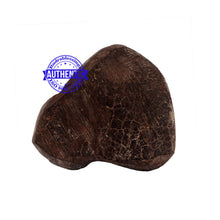 Load image into Gallery viewer, Shaligram - 169