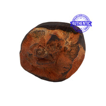 Load image into Gallery viewer, Haldi Chakra Shaligram - 171