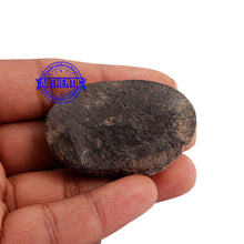 Load image into Gallery viewer, Shaligram - 177