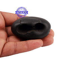 Load image into Gallery viewer, Shaligram - 181