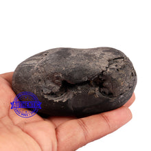Load image into Gallery viewer, Shaligram - 185