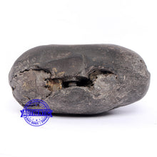 Load image into Gallery viewer, Shaligram - 185