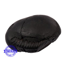 Load image into Gallery viewer, Crystallised Vishnu Chakra - 186