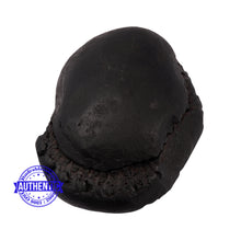 Load image into Gallery viewer, Crystallised Vishnu Chakra - 186