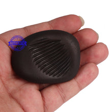 Load image into Gallery viewer, Shaligram - 49
