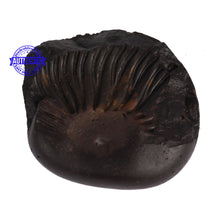 Load image into Gallery viewer, Shaligram - 51
