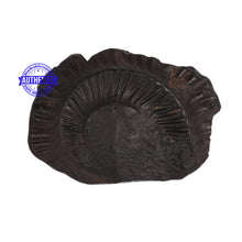 Load image into Gallery viewer, Shaligram - 52