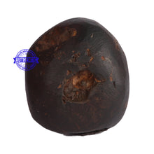 Load image into Gallery viewer, Shaligram - 53