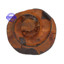 Load image into Gallery viewer, Janardhana Murthy Shaligram - 56