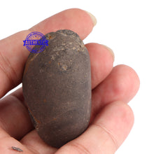 Load image into Gallery viewer, Acyutya Shaligram - 63