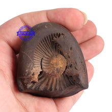 Load image into Gallery viewer, Shaligram - 64