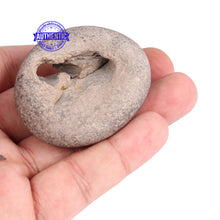 Load image into Gallery viewer, Lakshmi Gopal Murthy Shaligram - 65