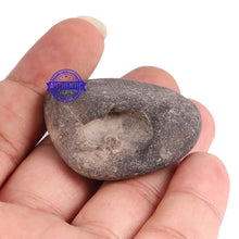 Load image into Gallery viewer, Hayagriva Murthy Shaligram - 66