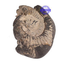 Load image into Gallery viewer, Shaligram - 68
