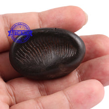 Load image into Gallery viewer, Shaligram - 73
