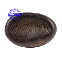 Load image into Gallery viewer, Shaligram - 73