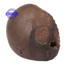 Load image into Gallery viewer, Sudarshan Shaligram - 87