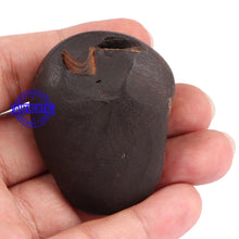 Load image into Gallery viewer, Shaligram - 88