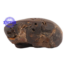 Load image into Gallery viewer, Shaligram - 94