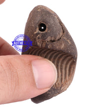 Load image into Gallery viewer, Shaligram - 98