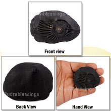 Load image into Gallery viewer, Shaligram - 27