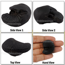 Load image into Gallery viewer, Shaligram - 29