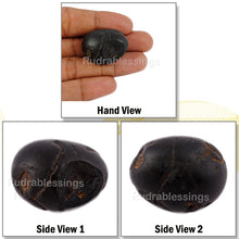Load image into Gallery viewer, Shaligram - 41
