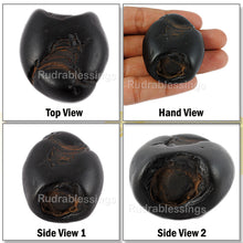 Load image into Gallery viewer, Shaligram - 43