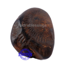 Load image into Gallery viewer, Shaligram - 44