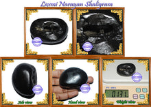 Load image into Gallery viewer, Laxmi Narayan Shaligram - 2