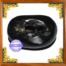 Load image into Gallery viewer, Laxmi Narayan Shaligram - 2