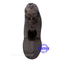 Load image into Gallery viewer, Sesh Narsimha Shaligram - 119