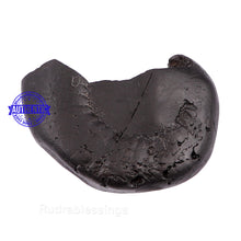 Load image into Gallery viewer, Sesh Narsimha Shaligram - 119
