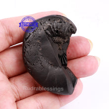 Load image into Gallery viewer, Sesh Narsimha Shaligram - 119