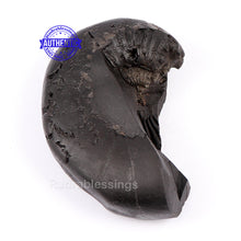 Load image into Gallery viewer, Sesh Narsimha Shaligram - 119