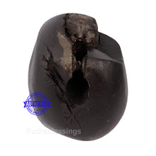 Load image into Gallery viewer, Shaligram - 124