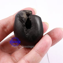 Load image into Gallery viewer, Shaligram - 124