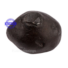 Load image into Gallery viewer, Garbha Murthy Shaligram - 130