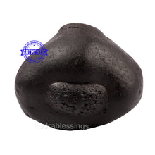 Load image into Gallery viewer, Garbha Murthy Shaligram - 130