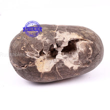 Load image into Gallery viewer, Vatapatrashey Murthy Shaligram - 140